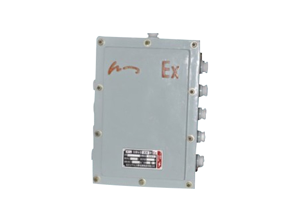 防爆數(shù)字接線(xiàn)盒（十線(xiàn)）JXHF02-10-D